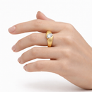 <tc>Ring Eclips – Een licht tussen twee werelden</tc>