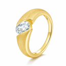 <tc>Ring Eclips – Een licht tussen twee werelden</tc>