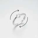 <tc>Roterende vallende ster-ring – een scherf in beweging</tc>