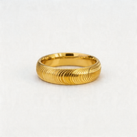 <tc>Ring Kattenoog – Een golf in beweging</tc>