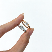 <tc>Ring Glanspunt – Schoonheid in suspensie</tc>