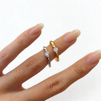 <tc>Ring Glanspunt – Schoonheid in suspensie</tc>