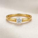 <tc>Ring Glanspunt – Schoonheid in suspensie</tc>